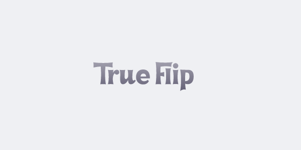 Was ist TrueFlip Coin?