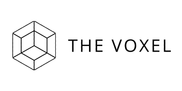 was-ist-voxels-coin