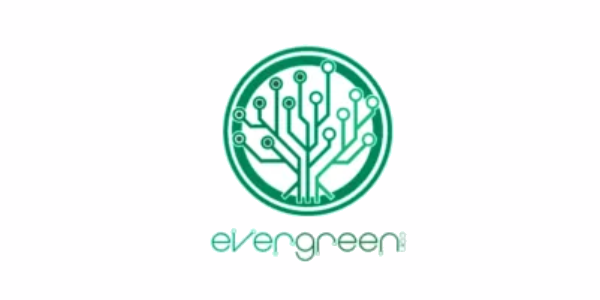 was-ist-evergreen-coin