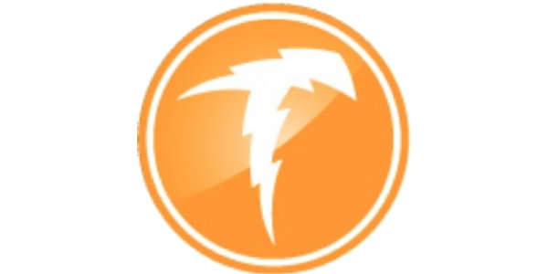 Was ist TeslaCoin?
