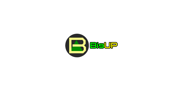 was-ist-bigup-coin