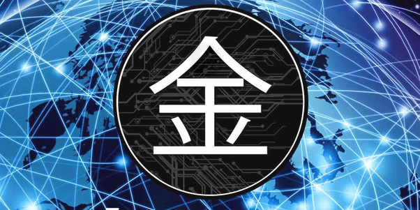 was-ist-jin-coin