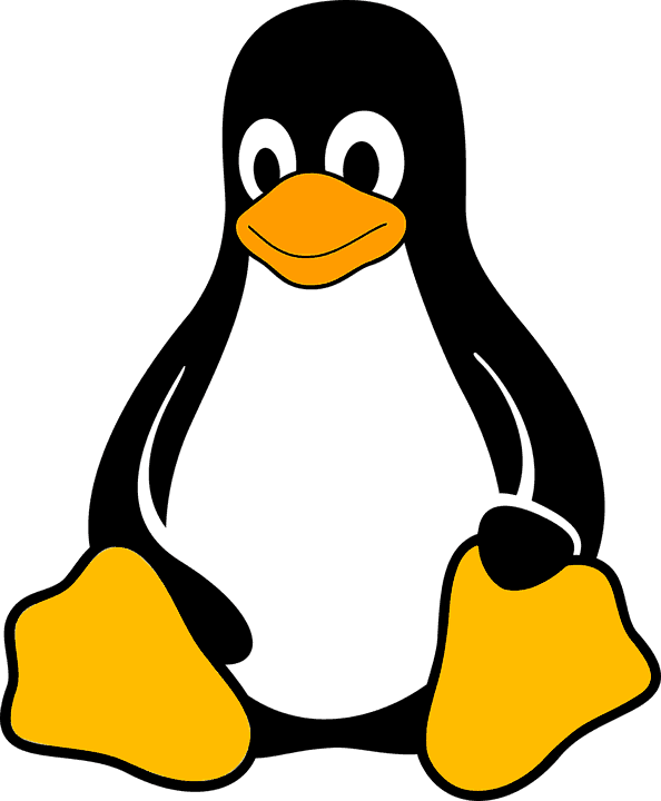 Linux Sicherheitslücke durch Monero – CPU Miner ausgenutzt