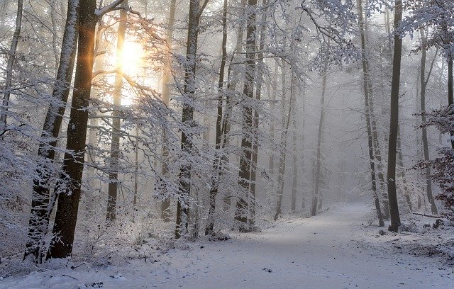 der-altcoin-winter