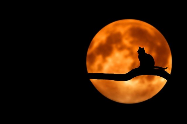 bitcoin-zum-letzten-mal-im-vierstelligen-bereich