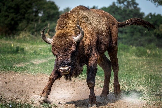 wildes-1-quartal-macht-hoffnung-auf-bull-run