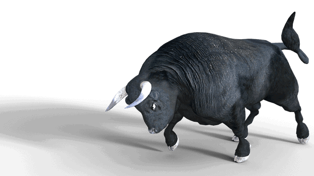 7000-usd-marke-haelt-stand-kommt-jetzt-der-bull-run