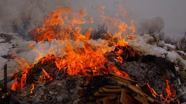 diese-kryotos-sind-momentan-on-fire