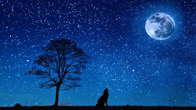 moon-time-bitcoin-springt-ueber-die-magische-grenze
