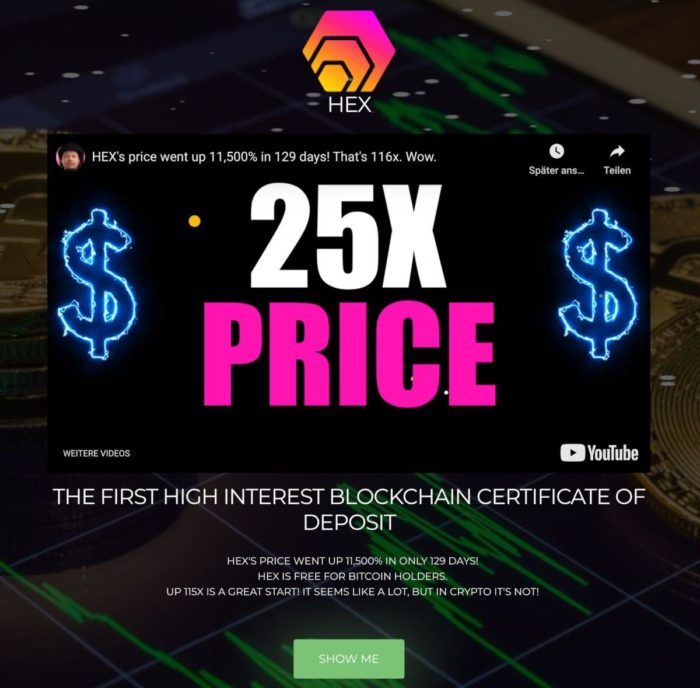 Screenshot of official HEX Website