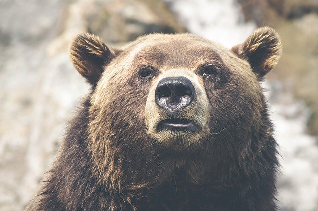 Bitcoin mit Schwierigkeiten – Die Bären geben den Ton an