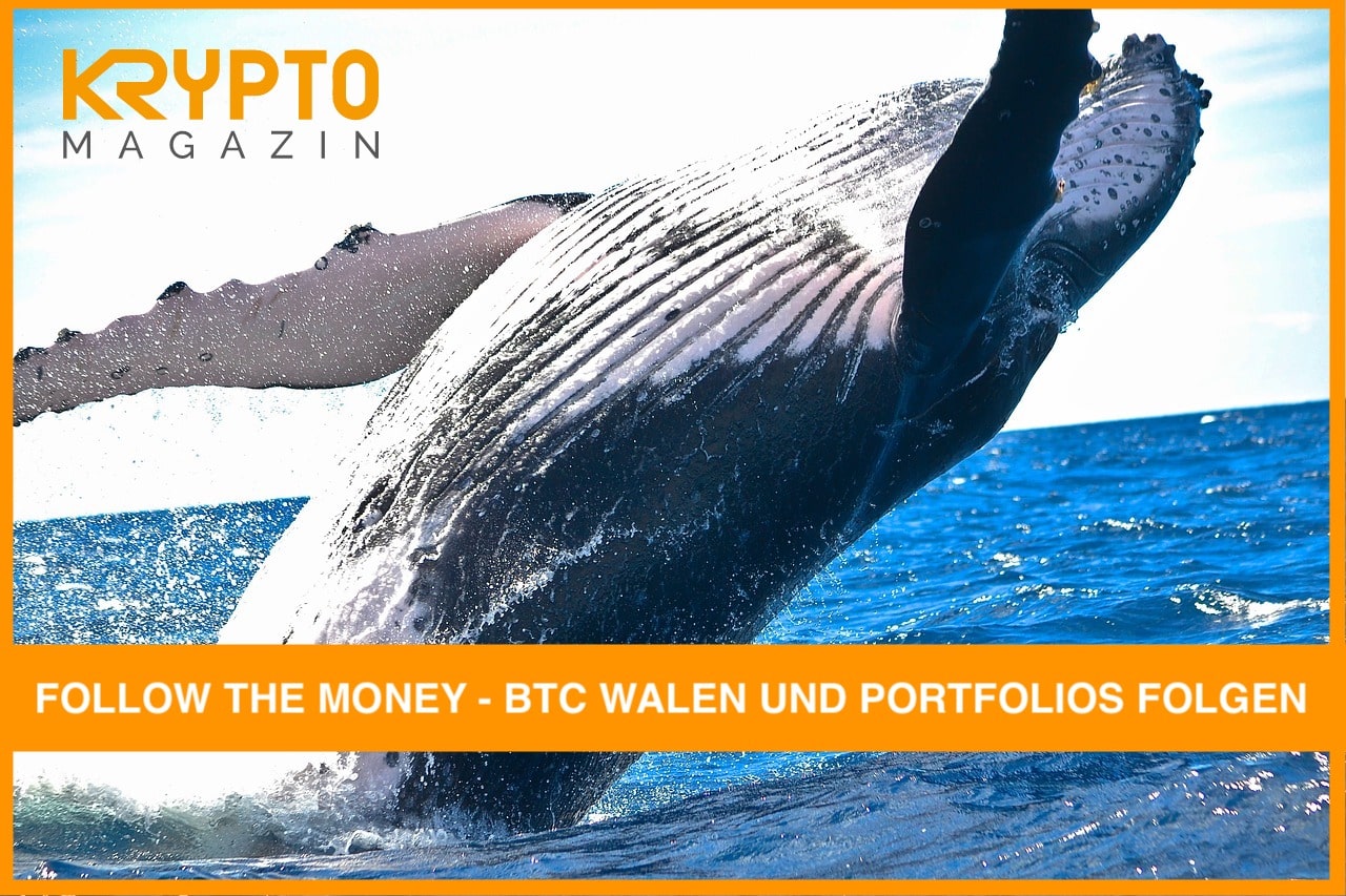 follow-the-money-bitcoin-walen-und-portfolios-folgen