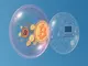 krypto-blase-vs-dotcom-blase-nimmt-es-die-gleiche-entwicklung