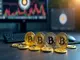 7-altcoins-mit-einstiegschance-cardano-polkadot-und-co-im-fokus-der-anleger