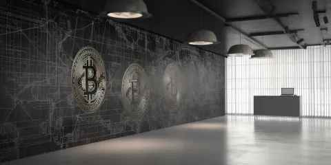 welche-rolle-spielen-technische-analyse-und-fundamentalanalyse-beim-erfolgreichen-bitcoin-trading