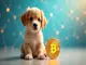 baby-doge-coin-chancen-und-risiken-des-beliebten-memecoins-im-kryptomarkt