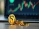 bit-origin-investiert-6-millionen-us-dollar-in-dogecoin-kryptomarkt-zeigt-aufwaertstrend