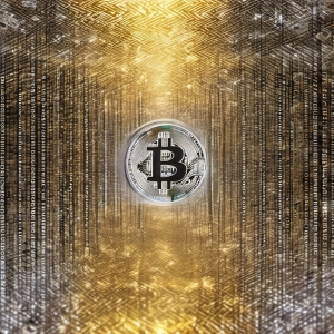 Bitcoin einsteigen -Bitcoin bietet kein anonymes System für den Nutzer
