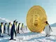 bitcoin-penguins-trump-und-bitcoin-duell-neue-trends-und-prognosen-fuer-2025