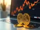 cardano-legt-kraeftig-zu-kursanstieg-und-neue-dynamik-bei-langfristigen-anlegern