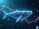 cardano-zeigt-staerke-hohe-transaktionen-und-whale-akkumulation-trotz-kursrueckgang