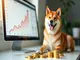 dogecoin-10-000-dollar-investment-waere-heute-3-73-millionen-dollar-wert