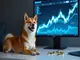 dogecoin-fuehrt-kryptomarkt-erholung-an-short-liquidationen-ueber-1-milliarde-dollar