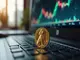 dogecoin-mit-starkem-kursplus-und-netzwerkaktivitaet-rallye-bis-1-us-dollar-moeglich