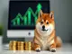 dogecoin-prognose-2025-analysten-erwarten-verdopplung-trotz-aktueller-schwaeche