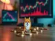dogecoin-verteidigt-16-cent-marke-technische-analyse-markttrends-und-neue-impulse