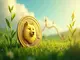 dogecoin-zeigt-stabilitaet-wale-kaufen-massiv-marktanalysen-deuten-auf-trendwende-hin