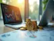 grossinvestoren-erhoehen-long-positionen-in-chainlink-und-dogecoin-um-4-3-millionen-dollar