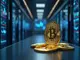 semler-scientific-plant-105-000-bitcoin-bis-2027-hive-digital-expandiert-mining-btc-stabil