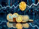 was-selfkey-coin